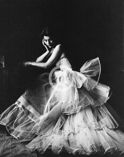 1950s Era Ann Gunning Crinoline
