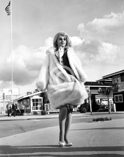 Ann-Margret (Kitten With a Whip)