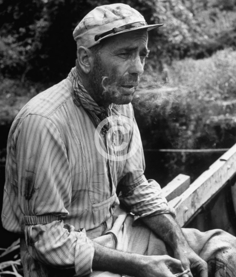 Bogart, Humphrey (The African Queen)