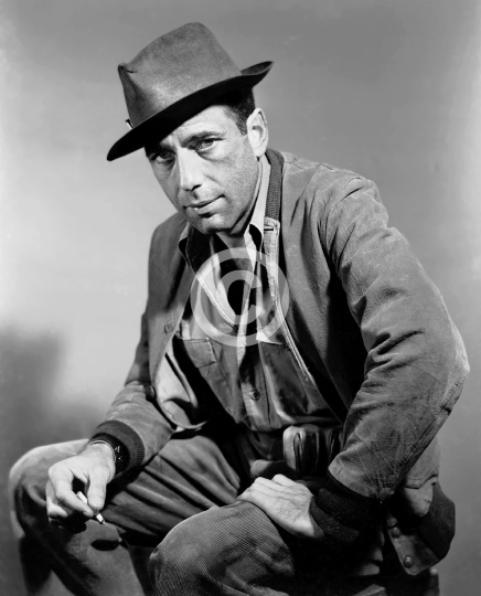 Bogart, Humphrey (They Drive by Night)
