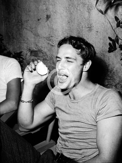 Brando, Marlon (A Streetcar Named Desire)