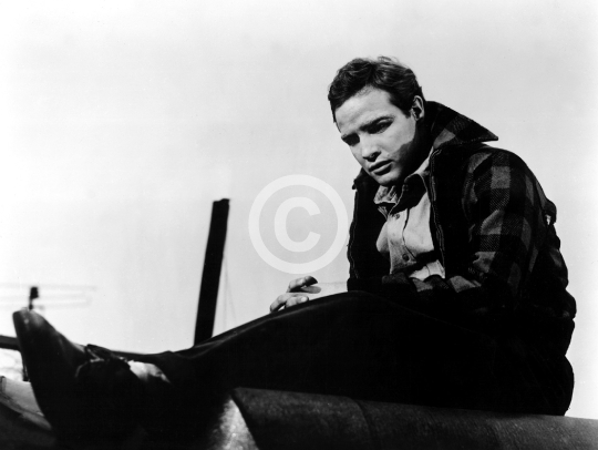 Brando, Marlon (On the Waterfront)