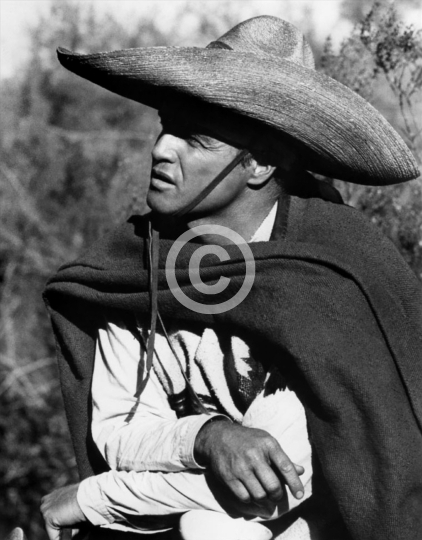 Brando, Marlon (The Appaloosa)
