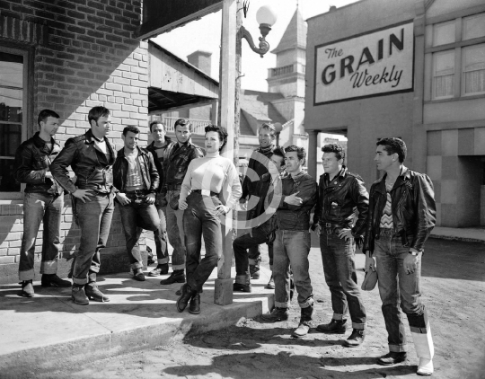 Brando, Marlon (The Wild One)