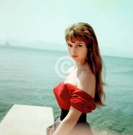 Brigitte Bardot In Cannes