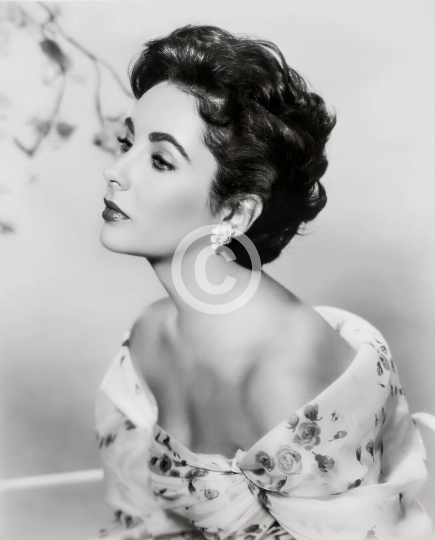 Elizabeth Taylor c. 1956 studio portrait