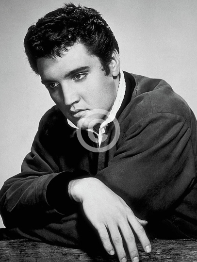 Elvis Presley Handsome Star In The Studio