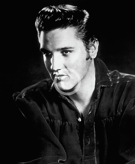Elvis Presley Handsome Star In The Studio