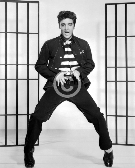 Elvis Presley Jailhouse Rock