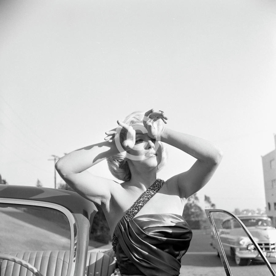Marilyn Monroe in the sunshine frank worth