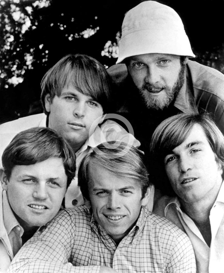 The Beach Boys Closeup Group Portrait
