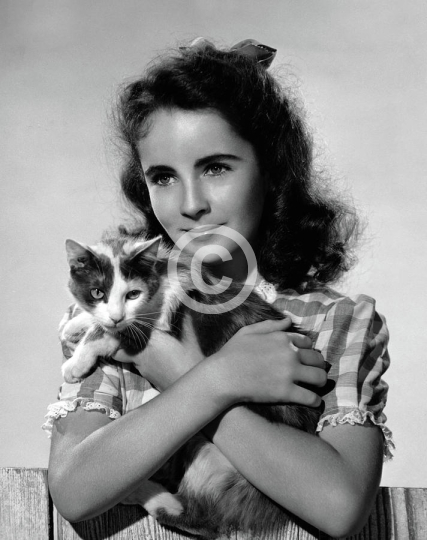 Young Elizabeth Taylor With Cat